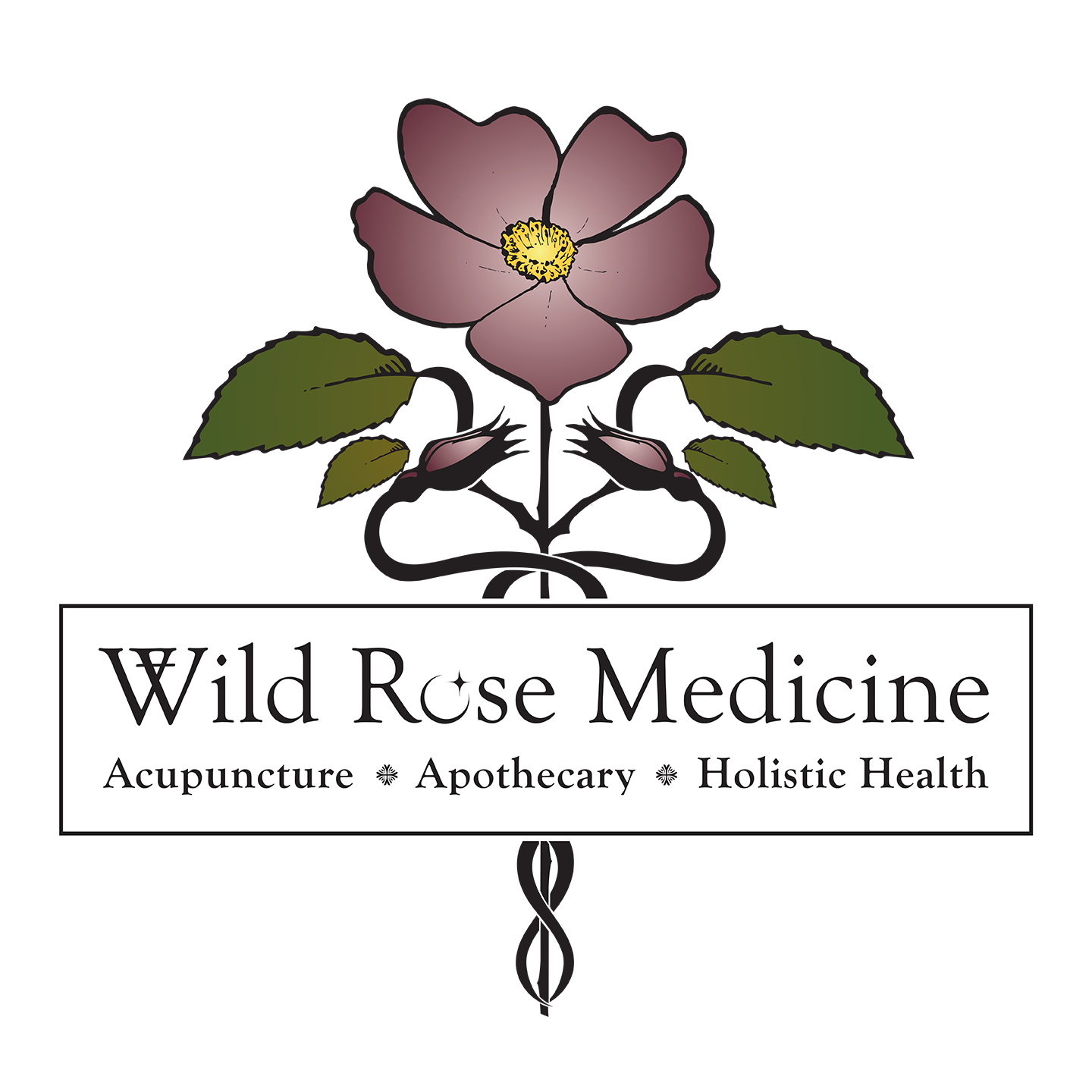 Wild Rose Medicine