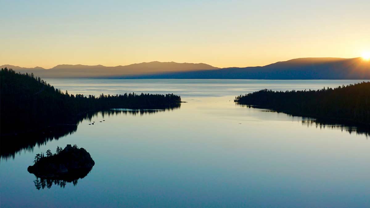 Sunlight through Tahoe pine forest