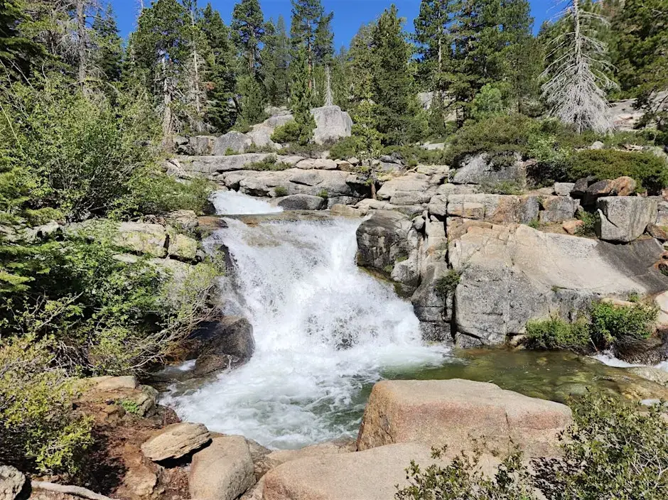 Plant walk through Shirley Canyon
